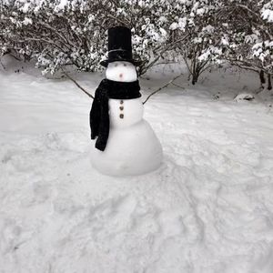 Meet your Posher, Sandy